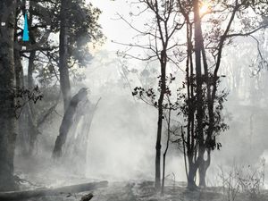 Tim Gabungan Tetap Lakukan Penyisiran Meski Kebakaran Gunung Buthak Padam
