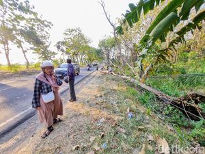 Pohon Tumbang di Ponorogo Timpa Pemotor, Seorang Lansia Tewas