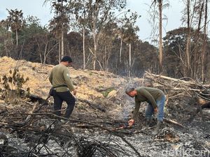 Karhutla 20 Meter dari KHDTK Samboja Dekat IKN, Diduga Sengaja Dibakar