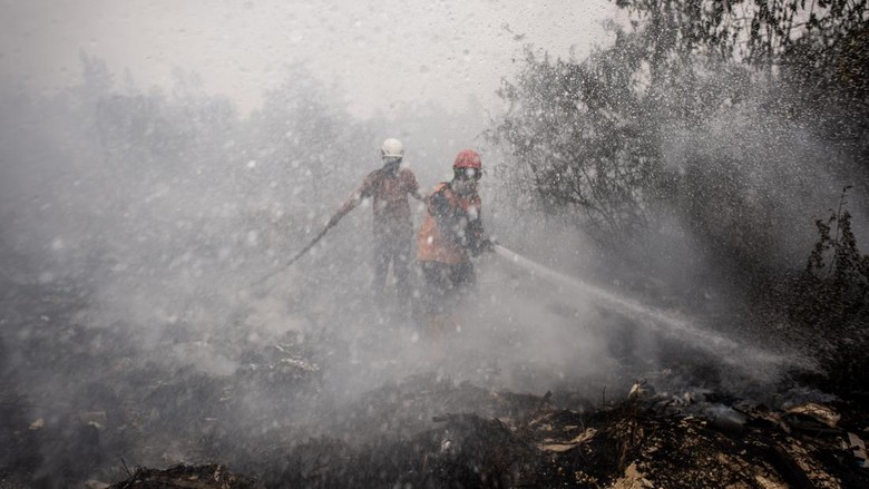 Antisipasi Nilai TKA Terdampak Karhutla, Seperti Apa?