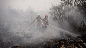 Lahan Gambut Banjar Terbakar, Petugas Berjibaku Jinakkan Api