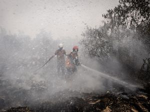 Lahan Gambut Banjar Terbakar, Petugas Berjibaku Jinakkan Api