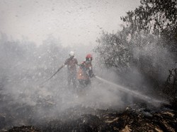 209 Hektare Titik Karhutla di Kalimantan Masih Belum Padam, Ini Kendalanya