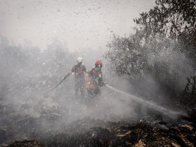 Lahan Gambut Banjar Terbakar, Petugas Berjibaku Jinakkan Api