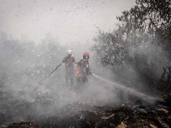 Lahan Gambut Banjar Terbakar, Petugas Berjibaku Jinakkan Api