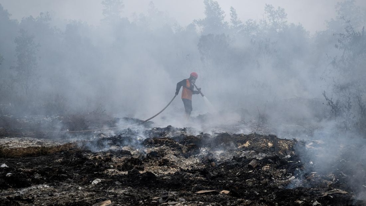 Karhutla Kejahatan Luar Biasa, Sahroni Dukung Label Terorisme Ekologi