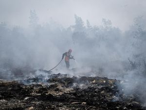 BNPB Ungkap Situasi Karhutla di Sumatera, Kalimantan hingga Papua Barat