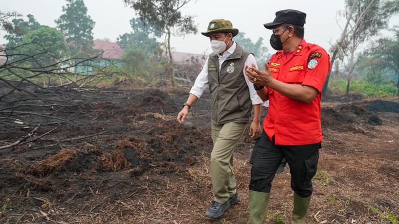 Cek Karhutla, Menhut: Kalbar Sedang Tidak Baik-baik Saja