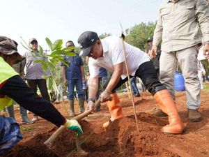 Pemprov Jabar Revitalisasi Kebun Karet Jalupang, 4.200 Pohon Telah Ditanam