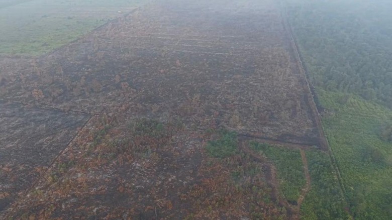 Kebakaran di Hutan Lindung Gambut Londerang Jambi Padam, 86 Hektare Terbakar
