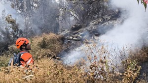 Gunung Buthak Malang Kembali Terbakar!