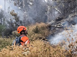Penyebab Kebakaran Gunung Buthak yang Hanguskan 15 Hektare Masih Diselidiki