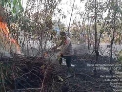 Polisi Banyuasin Padamkan Kebakaran Lahan di Pinggir Jalan Palembang-Betung