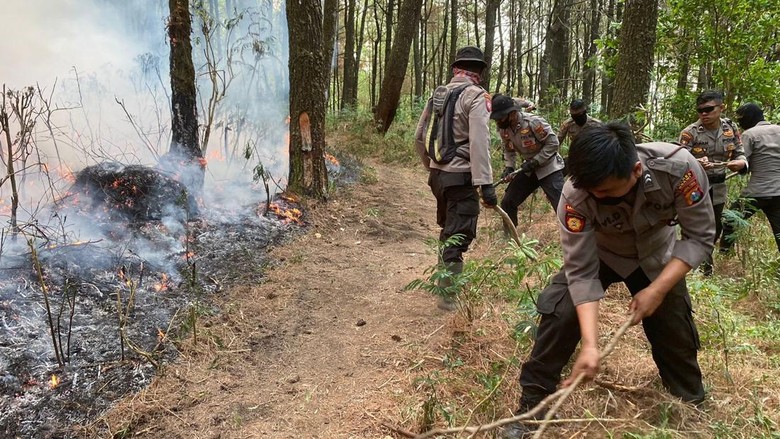 Bakar Hutan untuk Buka Lahan Baru, Petani di Ngawi Diamankan Polisi