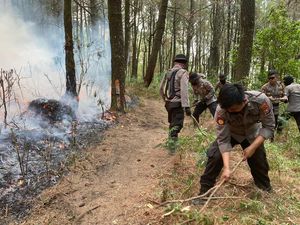 Bakar Hutan untuk Buka Lahan Baru, Petani di Ngawi Diamankan Polisi