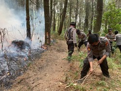 Bakar Hutan untuk Buka Lahan Baru, Petani di Ngawi Diamankan Polisi