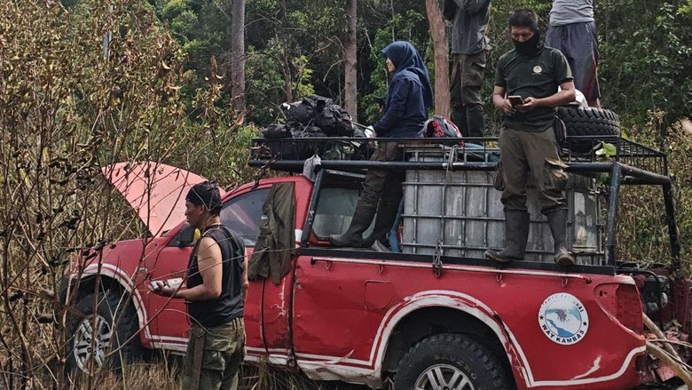Perjuangan Srikandi Asal Lampung Padamkan Karhutla di Way Kambas