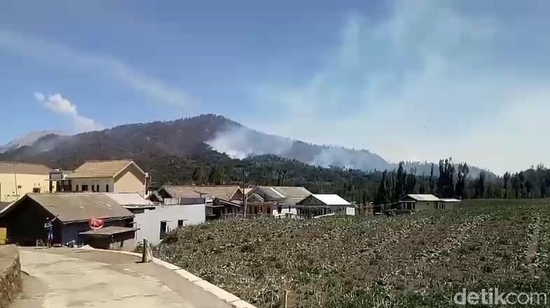 Kebakaran Hutan Gunung Semeru Meluas Mencapai 3.072 Hektare