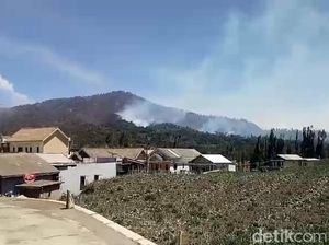 Kebakaran Hutan Gunung Semeru Meluas Mencapai 3.072 Hektare
