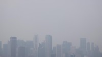 Kabut Asap Karhutla 'Selimuti' Singapura, Kualitas Udara Masuk Tidak Sehat