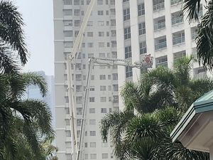 Tak Ada Korban Jiwa dalam Kebakaran Apartemen Pavilion, Hewan Juga Dievakuasi