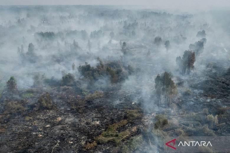Video: Polri Tetapkan 112 Tersangka Karhutla, Modusnya Buka Lahan
