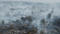 Alert! Polusi Udara Beberapa Wilayah Kalimantan Sudah di Level Beracun