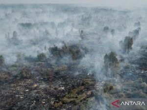 Otorita IKN Sanksi Perusahaan Perkebunan Penyebab Karhutla, Wajib Pulihkan Lahan