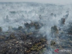 Alert! Polusi Udara Beberapa Wilayah Kalimantan Sudah di Level Beracun