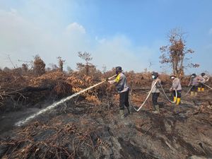 Karhutla 20 Hektare di Inhil Padam, Tim Gabungan Lanjutkan Pendinginan