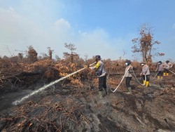Karhutla 20 Hektare di Inhil Padam, Tim Gabungan Lanjutkan Pendinginan