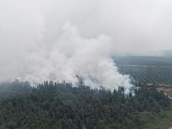 Hotspot Sumsel Kembali Terpantau Ramai, Paling Banyak di OKI