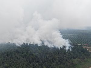 Kebun Raya Sriwijaya di Sumsel Terbakar, Asap Membumbung Tinggi