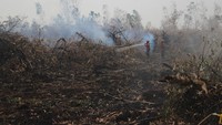 Karhutla Jambi Hampir 3.000 Hektare, ISPA Jadi Sorotan
