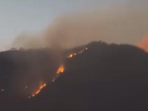 Kebakaran Hutan Landa Kawasan Cagar Alam Merapi Ungup-Ungup Ijen