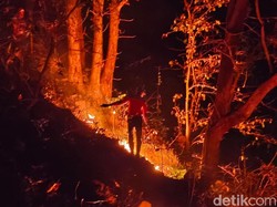 Kawasan Kawah Ijen Banyuwangi Terbakar Hebat, Ditutup buat Pengunjung