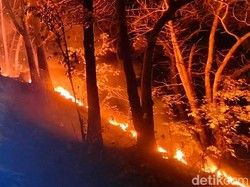Kebakaran Hutan Gunung Ijen, Belum Ada Pendaki Dilaporkan Terdampak