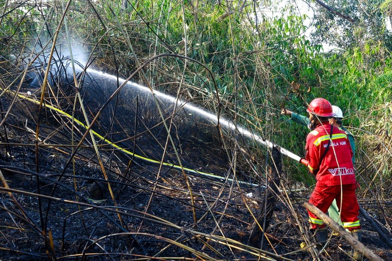 Otorita IKN Laporkan Terduga Pelaku Karhutla, 1 Perusahaan Dijatuhi Sanksi