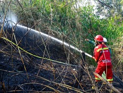 Otorita IKN Laporkan Terduga Pelaku Karhutla, 1 Perusahaan Dijatuhi Sanksi