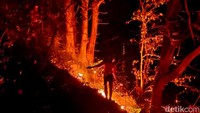Kebakaran Hutan Gunung Ijen