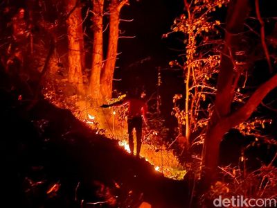 Kebakaran Hutan Gunung Ijen