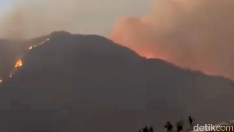 Karhutla Gunung Ijen hingga Ditutupnya Kawasan Wisata