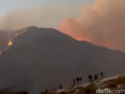 Karhutla Gunung Ijen hingga Ditutupnya Kawasan Wisata