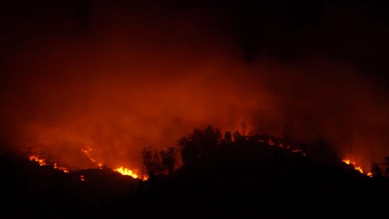 Kebakaran Hutan dan Lahan di Gunung Ijen Meluas