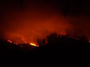 Kebakaran Hutan dan Lahan di Gunung Ijen Meluas