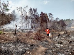Kebakaran Lahan 30 Hektare di Lingga Belum Padam Selama 14 Hari