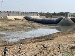 Pemkab Pati soal Bahaya Ikan Sapu-sapu Sungai Juana: Kalau Kering Mati Sendiri