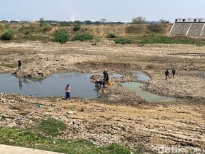 Penampakan Terkini Sungai Juana Pati Lokasi Warga Panen Ikan hingga 10 Ton