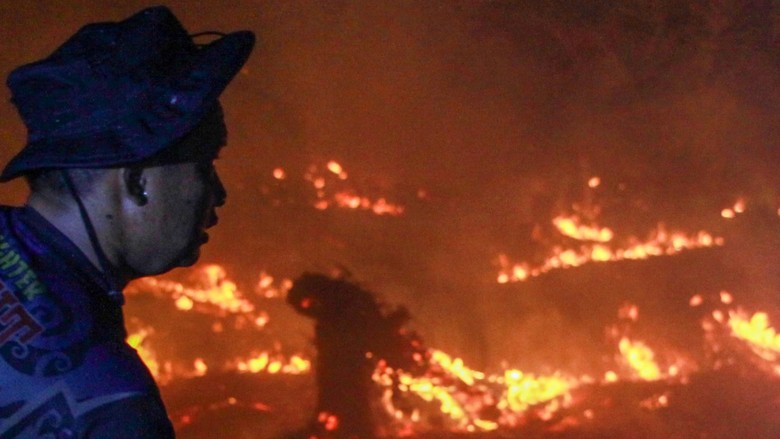 712 Karhutla Kalteng Tertangani di 2026, Ada 22 Operasi Penyelamatan Satwa