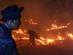 112 Tersangka Terkait Karhutla Ditangkap, Paling Banyak di Riau